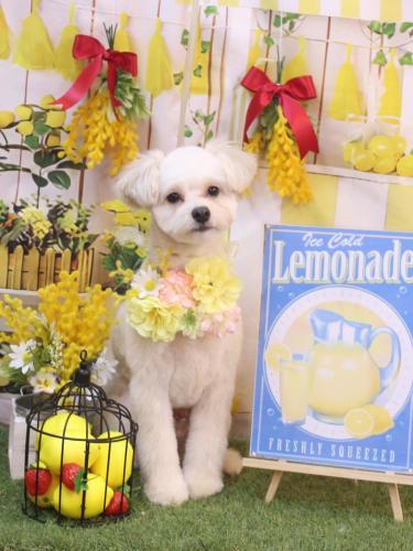 20240410ヌンくん